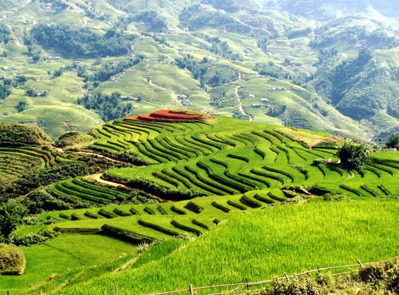 Những cung bậc sơn cước Sa Pa
