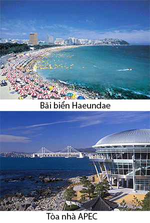 BIỂN BUSAN, HÀN QUỐC (Ăn: phục vụ 24/24 trên du thuyền)