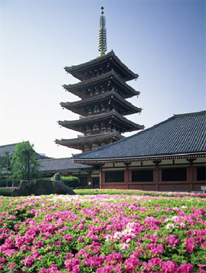 Ngày 03: HAKONE - TOKYO