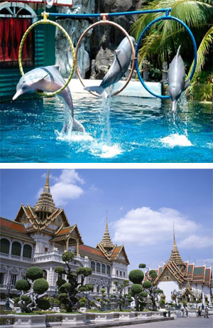 Ngày 05: Pattaya - Bangkok - Safari World - Trại Rắn - Cung Điện Hoàng Gia