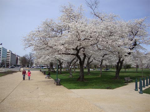 Ngày 05: Washington