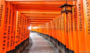 Ngày 03: OSAKA - KYOTO - NAGOYA