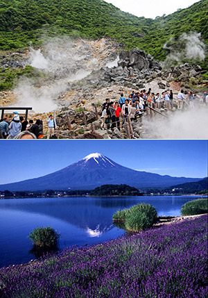 TOKYO - NÚI PHÚ SĨ - HAKONE  (Ăn: Sáng, Trưa, Tối)