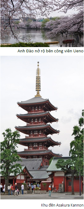 TOKYO, NHẬT BẢN - DU THUYỀN (Ăn: S/T/T)