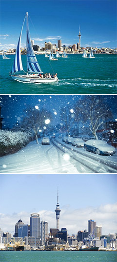 Ngày 02: AUCKLAND - CITY TOUR