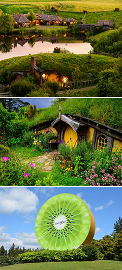 Ngày 03: AUCKLAND - MATAMATA - ROTORUA