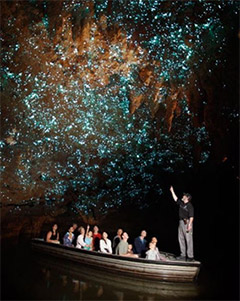 Ngày 05: TAUPO - WAITOMO - AUCKLAND