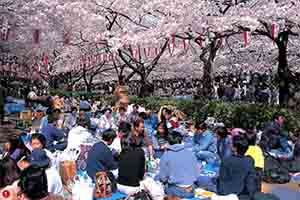  Ngày 05: TOKYO - TP.HCM