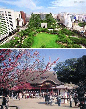FUKUOKA, NHẬT (Ăn: phục vụ 24/24 trên du thuyền)