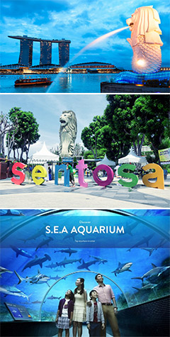 Ngày 02: CITY TOUR - ĐẢO SENTOSA