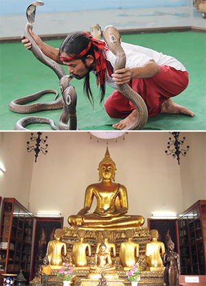 Ngày 04: PATTAYA  - BANGKOK