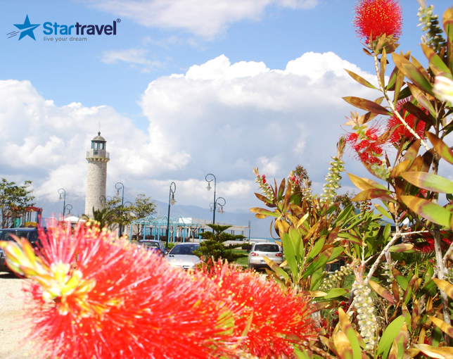 Olympia - Patras - Delphi