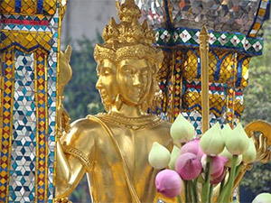 Ngày 05: BANGKOK - CHÙA VÀNG - CUNG ĐIỆN MÙA HÈ