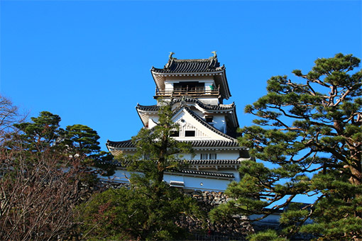 Kochi, Nhật Bản