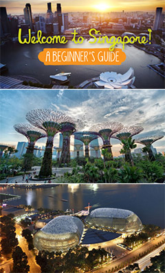 Ngày 01: HÀ NỘI -  SINGAPORE