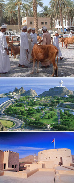 Muscat