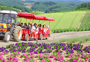 Ngày 05: SÂN BAY SAPPORO - NARITA - TP.HCM