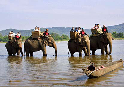 Image result for cuoi voi ở Hồ Lak tây nguyên