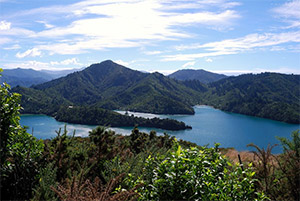 Picton, New Zealand