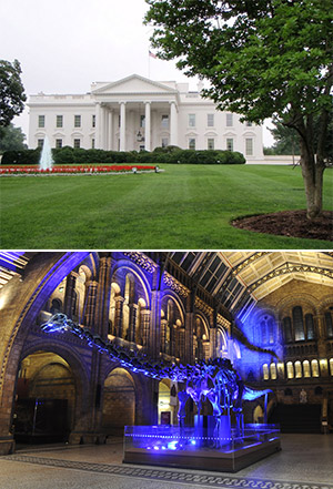 Ngày 04: WASHINGTON DC - CITY TOUR