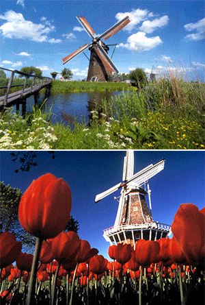 Ngày 03: AMSTERDAM