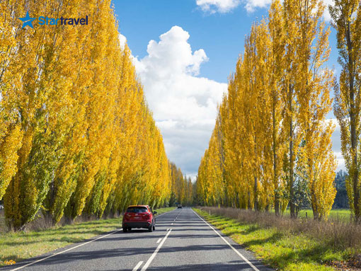 Melbourne - Dandenong - Thung Lũng Yarra