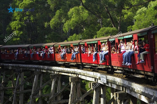 Melbourne - Dandenong - Thung Lũng Yarra