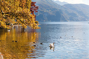 Ngày 09: Montecatini - Lugano - Lucerne, Thụy Sĩ