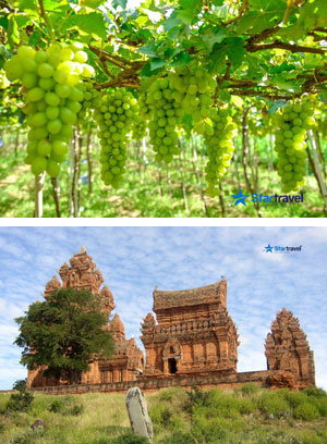 Ngày 01: TP.HCM – NINH CHỮ (Ăn sáng, trưa, chiều)