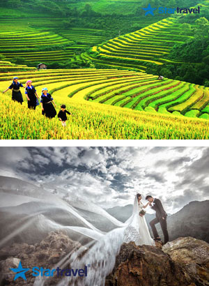 NGÀY 01: SÀI GÒN – HÀ NỘI - SAPA (Ăn trưa, tối)