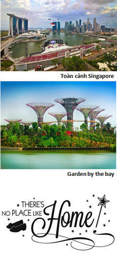 SINGAPORE - TP. HỒ CHÍ MINH (Ăn: S/T/T)