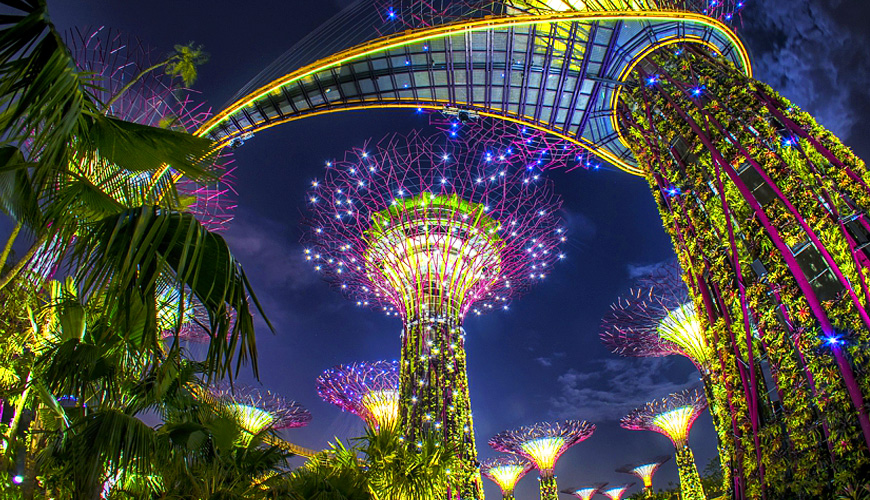 Tp. Hồ Chí Minh - Singapore