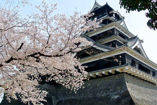 Kumamoto, Nhật Bản