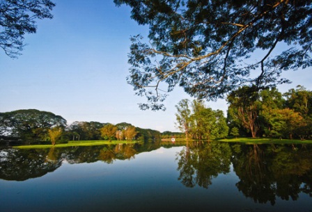 Lake-Green-Malaysia2.jpg