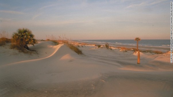 6 Cumberland Island Georgia.jpg