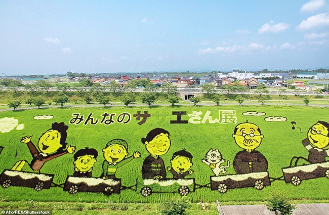 canh-dong-lua-hay-sieu-pham-nghe-thuat-cua-nong-dan-nhat-ban