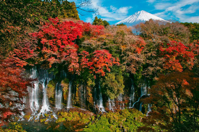 kham-pha-ve-dep-nen-tho-cua-shizuoka