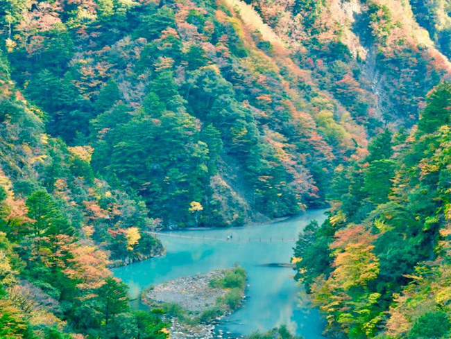 kham-pha-ve-dep-nen-tho-cua-shizuoka