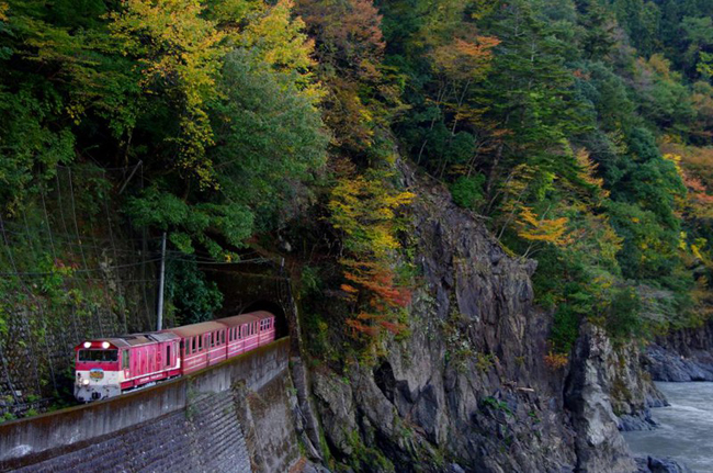 kham-pha-ve-dep-nen-tho-cua-shizuoka