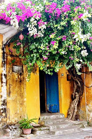 Hội An - Những mảng tường thời gian