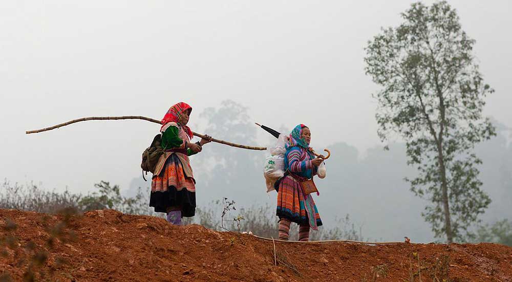 Mùa đông Sapa lơ lửng trong sương mù