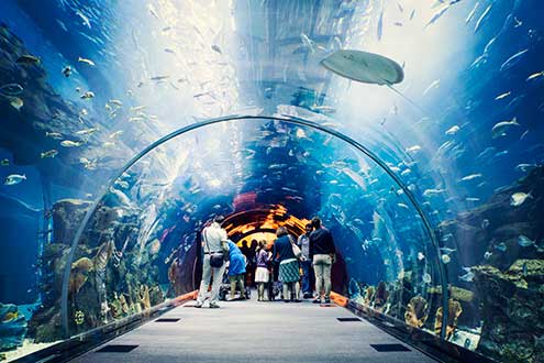 Có điều kỳ diệu ở Dubai