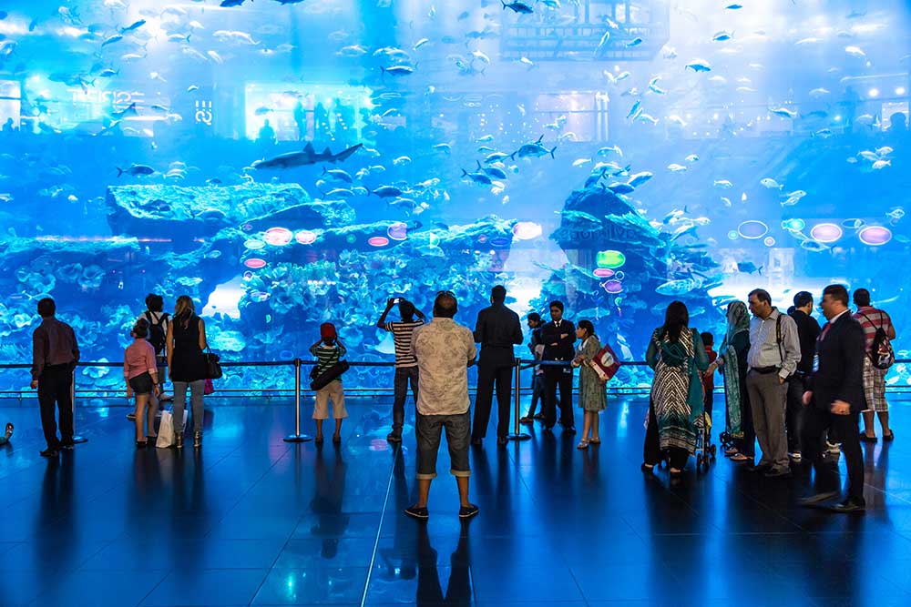 Có điều kỳ diệu ở Dubai