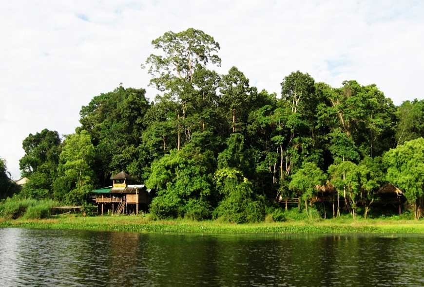 Trải nghiệm xuyên rừng ở Nam Cát Tiên