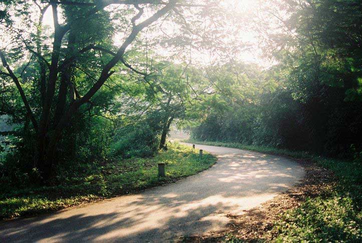 Tour du lịch Hà Nội - Những điểm du lịch gần Hà Nội để khám phá