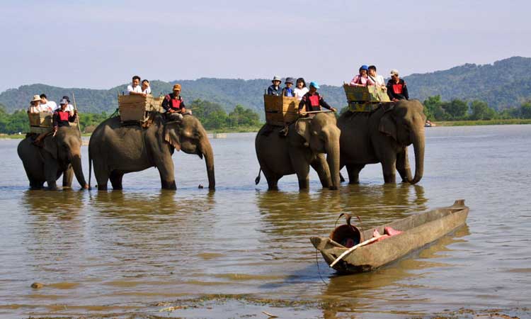 Du lịch Tây Nguyên - Khám phá Tây Nguyên dịp cuối năm có gì hay ?