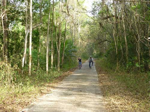 Trải nghiệm xuyên rừng ở Nam Cát Tiên