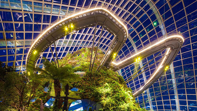 du lịch khám phá Marina Bay Sands Cloud Forest