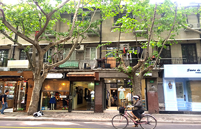 Nhẩn nha giữa lòng khu phố Pháp đẹp như mơ ở Thượng Hải