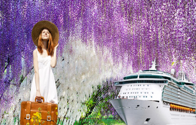 Tour du thuyền Nhật Bản: XÚC CẢM MỘT MÙA HOA TỬ ĐẰNG